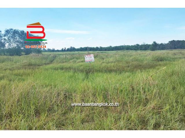 ที่ดินเปล่า วัดโพธิ์แทน เนื้อที่ 1-1-87 ไร่ ถนนปทุมธานี-นครนายก อ.องครักษ์ จ.นครนายก