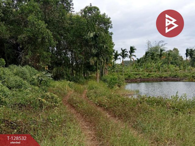 ขายที่ดินสวนยาง เนื้อที่ 23 ไร่ 1 งาน 10 ตารางวา นายายอาม จันทบุรี