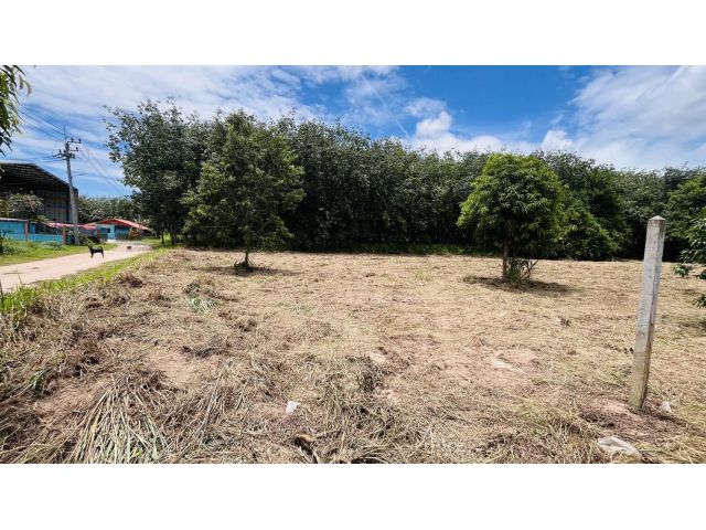 ให้เช่า ที่ดิน 2ไร่ 2งาน ระยอง นิคมพัฒนา ซอย2 ใกล้ ปิ่นทอง6 ใกล้ CPGC ใกล้ตลาด ใกล้อ่างเก็บน้ำดอกกราย