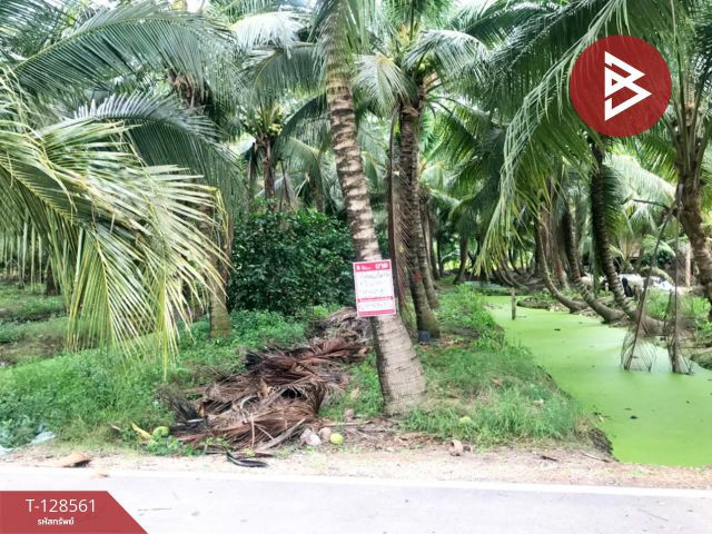 ขายที่ดินสวนมะพร้าวน้ำหอม เนื้อที่ 5 ไร่ 66 ตารางวา บางคนที สมุทรสงคราม