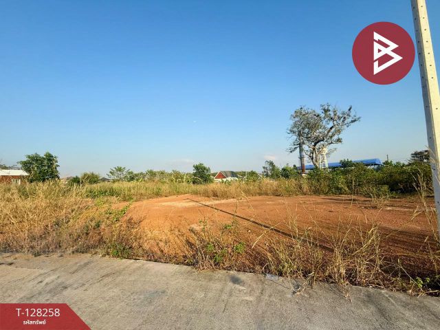 ขายที่ดินจัดสรร เนื้อที่ 2 งาน 90.3 ตารางวา ท่าช้าง จันทบุรี