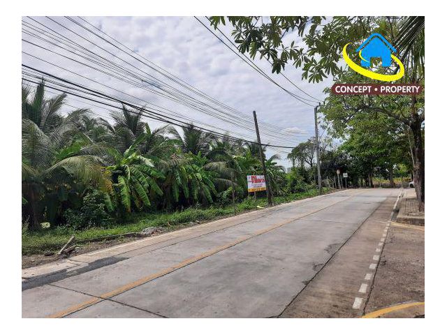 ขายที่ดิน 12 ไร่ พุทธมณฑลสาย2ซอย 7 ซอยวัดบุณยประดิษฐ์ แขวงบางไผ่ เขตบางแค