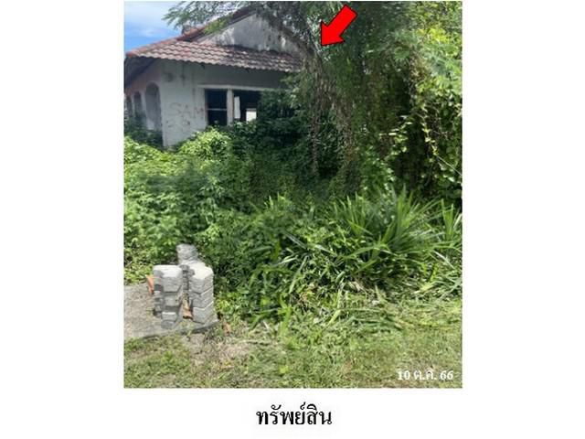 ขต.มะม่วงสองต้น อ.เมืองนครศรีธรรมราช จ.นครศรีธรรมราช