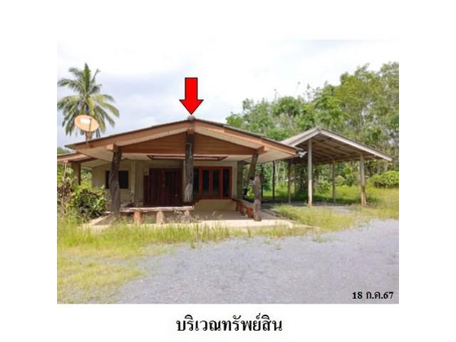 ขายบ้านเดี่ยว ต.ควนกรด อ.ทุ่งสง จ.นครศรีธรรมราช