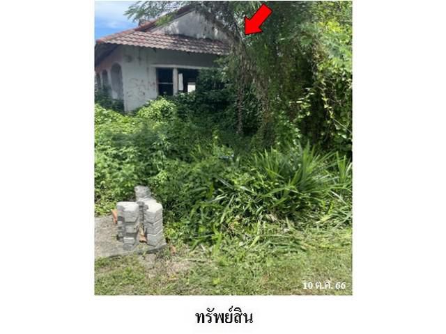 ขายบ้านเดี่ยวโครงการ ปิ่นกมล เลค พาร์ค ต.มะม่วงสองต้น จ.นครศรีธรร