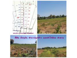 (โฉนด) ที่ดินแบ่ง 1-2 ไร่ๆละ 199,000 บ. (เหมาะทำไร่นา สวนผสม) ถนนหินคลุก กว้าง 8 ม.ไฟฟ้า น้ำประปา ต.ทะเลบก อ.ดอนเจดีย์ จ.สุพรรณบุรี