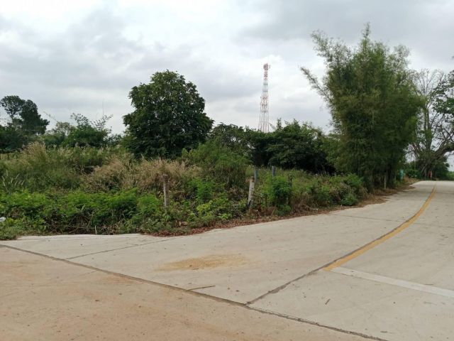 ขายที่ดินแปลงสวย 1 ไร่เศษ ต.สระสี่เหลี่ยม อ.พนัสนิคม จ.ชลบุรี ติดถนนคอนกรีต 2 ด้าน