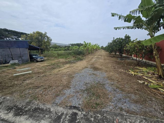 ขายที่ดิน 8ไร่ 60 ตารางวา ราคาไร่ละ 4.5 ล้านบาท ซอยวัดสามง่าม บางบัวทอง ใกล้คลังเซเว่น