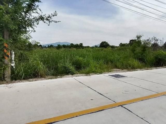 ขายที่ดินหนองตำลึงชลบุรี ที่ดินหนองตำลึง 6 ไร่ติดถนนคอนกรีต