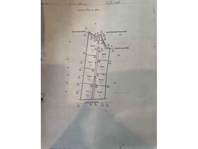 ขายและให้เช่าที่ดินศรีราชาชลบุรี ที่เปล่า 52-1-71