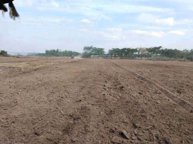 ขายที่ดิน 31 ไร่ ต.ท่ากระดาน อ.สนามชัยเขต จ.ฉะเชิงเทรา