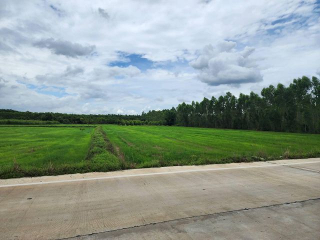 L1163 ขายที่นา ใกล้นิคมฯ304  8 ไร่ ศรีมหาโพธิ ปราจีนบุรี