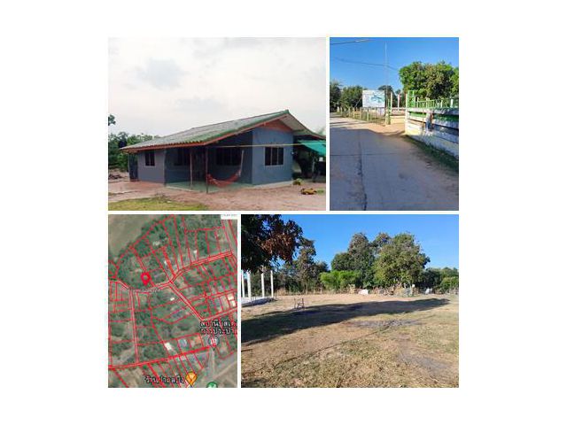 ขายบ้าน ใกล้บึงกระโตน พื้นที่ 2 ไร่ 2งาน 80ตรว