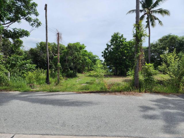 L1165 ขายที่ดินวิวภูเขา 1 ไร่ หน้ากว้าง 51 เมตร เมืองชลบุรี