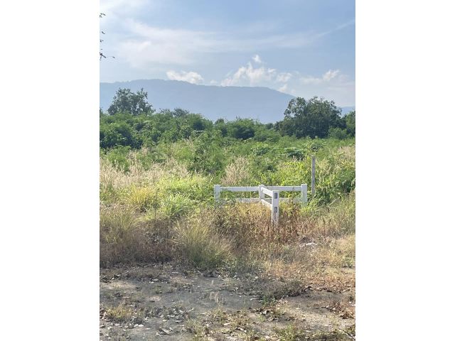 ด่วนราคานี้ถูกสุดๆ 9700 ที่ดินหมูสี วิวเขา เริ่ม 378 ตรว ผ่อนกับโครงการได้ สวย น้ำไฟ พร้อมสร้างบ้าน สนใจ 064-4781710