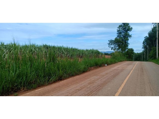 ขายที่ดิน 38 ไร่ ใกล้โรงเรียน ใกล้นิคมอุตสาหกรรมโรจนะหนองใหญ่ อ.หนองใหญ่ จ.ชลบุรี