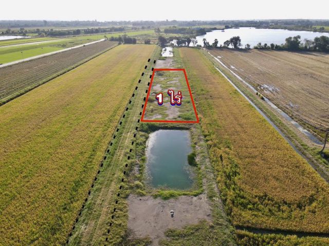 ขายที่ดินคลอง 8 ลำลูกกา ปทุมธานี 1 ไร่ ทำเลดี ใกล้ชุมชน ราคา 1.9 ล้าน