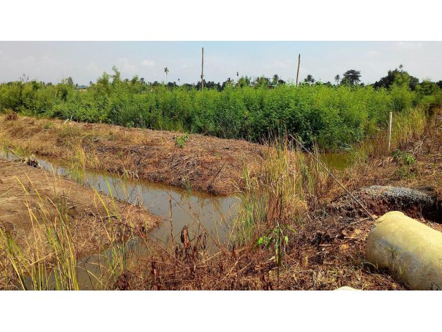 ขายที่ดินสวนเกษตร ราคาถูก