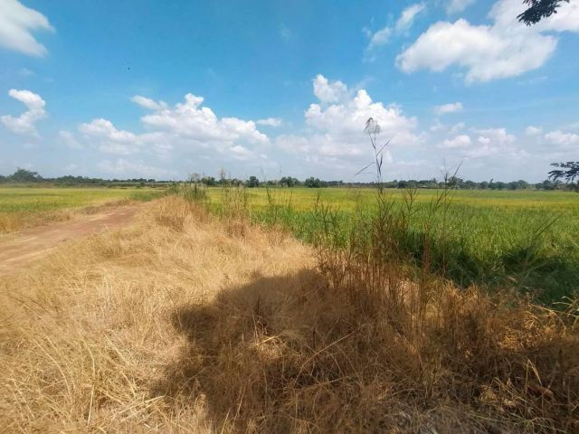 ขายที่ดิน ที่นา บางคล้า ฉะเชิงเทรา ขนาด 6-3-22ไร่ มีน้ำ มีไฟฟ้า มีเพื่อนบ้าน หน้ากว้าง 110เมตร เดินทางสะดวก ใกล้ถนน 304 ถนน3121 สายบางคล้