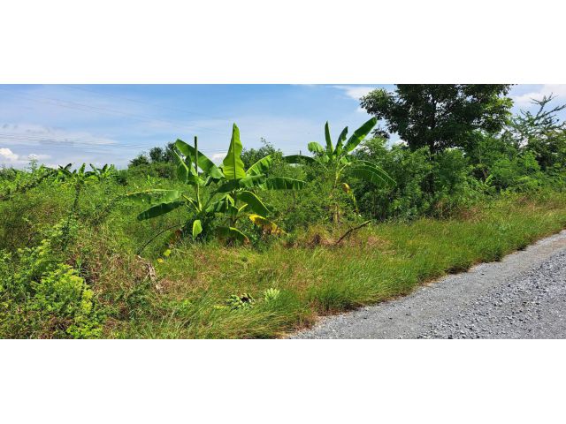 ขายที่ดิน ซอยวัดสโมสร 200 ตรว.