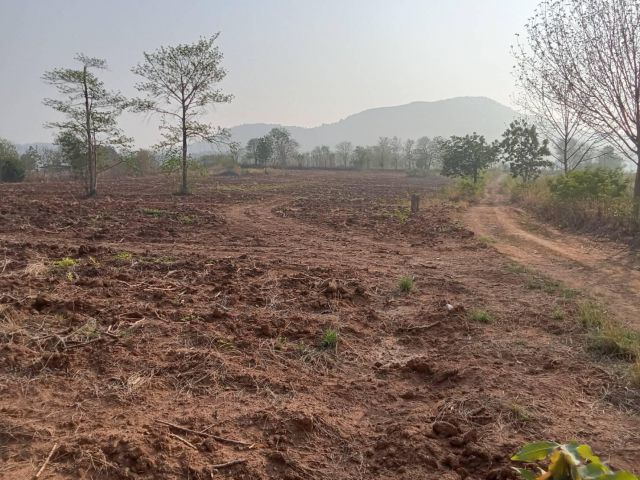 ขายด่วนที่ดิน ต.วังไืทร อ.ปากช่อง นส.3ก