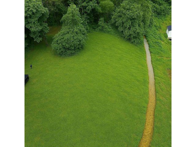 ขายที่ดิน 1 ไร่ ที่สวน เป็นเนินเห็นวิวเขาติดลำห้วย อ.แม่ออน จ.เชียงใหม่