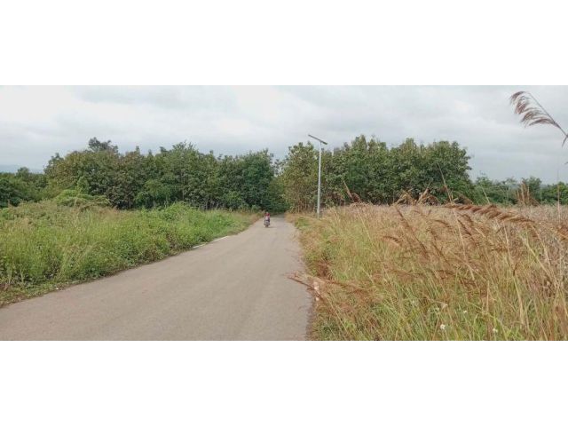 ขาย ที่ดิน ติดถนน แถววัดถ้ำพระสบาย อยู่ในเขตบ้านฮ่อม ตำบลนาครัว แม่ทะ ลำปาง