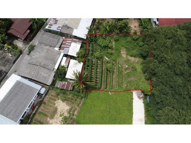 ขายที่ดิน สันมหาพน ซ.4 ที่ดินรูปสี่เหลี่ยมจัตตุรัส