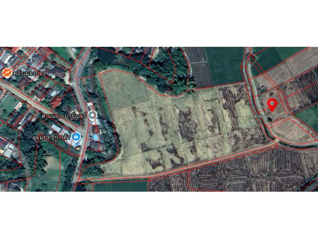 ขายที่สวยเกือบ 4 ไร่! ต.จันจว้า อ.แม่จัน เชียงราย ที่ดินทำเลทอง ราคาจับต้องได้!