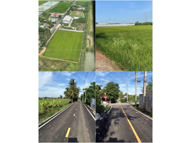 ขายที่ดินสวย 6 ไร่ 63 ตารางวา (พื้นที่สีม่วง) เจ้าของขายเอง