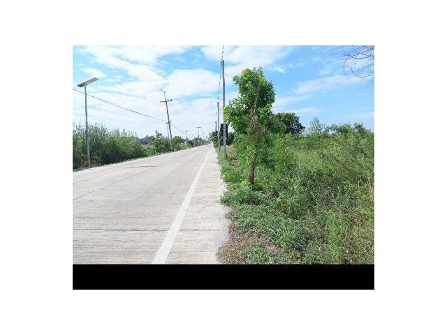 ขายที่ดิน ต.นราภิรมย์ ถมแล้ว แปลงสวย ทำเลดี ติดถนนคอนกรีต ใกล้ ถนน 4เลน ใกล้ ตลาด เนื้อที่ 160 ตรว.เหมาะปลูกบ้านทำธุรกิจ