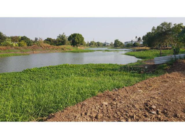 ขายที่ดินแปลงสวยราคาถูก ติดคลองท่าว้า ติดถนนลาดยาง เนื้อที่ 1-2-0 ไร่ วิวสวยอากาศดี เหมาะปลูกบ้านพักอาศัยหรือทำธุรกิจ