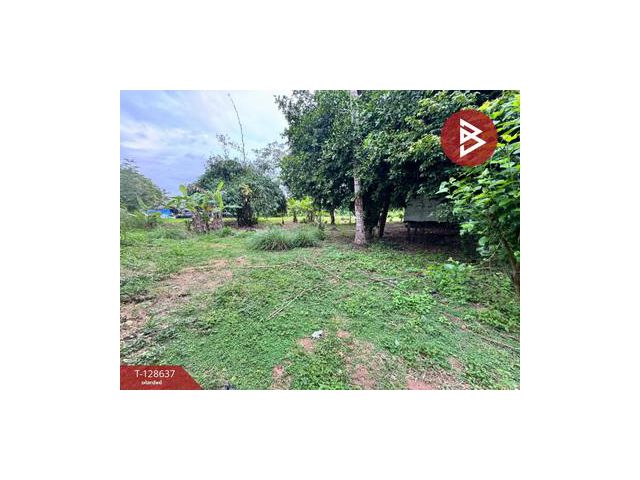 ขายที่ดิน เนื้อที่ 1 ไร่ บางละมุง ชลบุรี