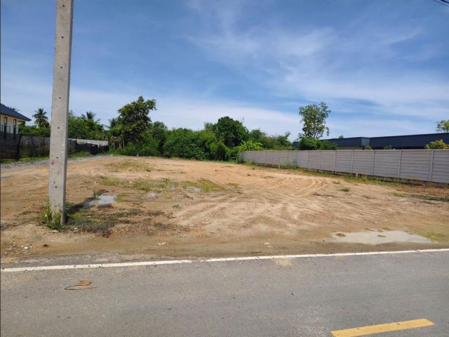 ขายที่ดิน 100ตารางวา ถมดินแล้วน้ำไฟพร้อม ติดถนนดำ ต.ตาก้อง