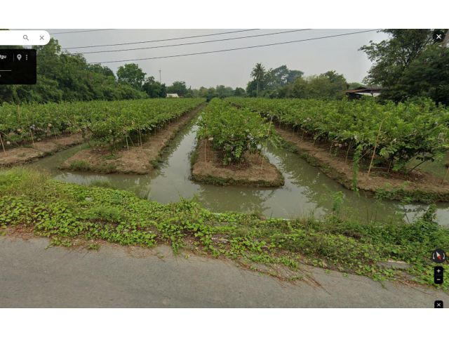 ขายที่ดิน4ไร่2งาน99ตรว.บรรยากาศดีหน้าที่คลองหนองดินแดง