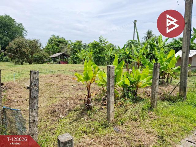 ขายที่ดิน เนื้อที่ 74.3 ตารางวา อ.พาน เชียงราย ติดถนน ใกล้แหล่งชุมชน