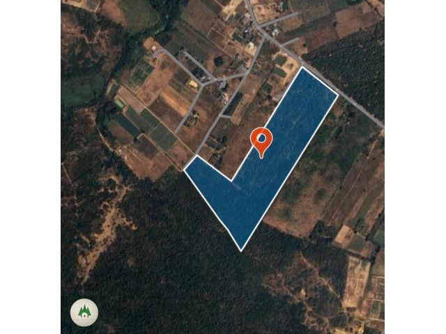 ขายที่ดินโฉนด สวนผึ้ง ไร่ละ 320,000 เนื้อที่ 61 ไร่  วิวเขาสุดสวย