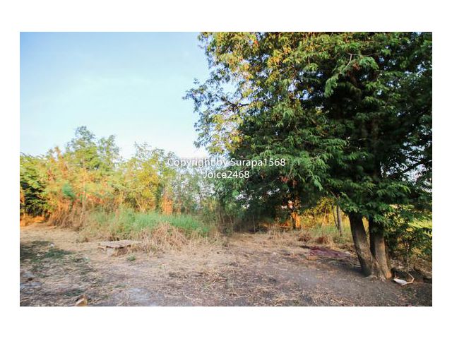 ขายที่ดิน ปทุมธานี ลาดหลุมแก้ว  120 ตร.ว