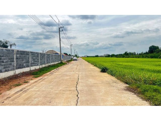 ที่ดินสวย ทำเลทอง ติดถนนคอนกรีต#ที่ดินคลอง11 รังสิต ปทุมธานี 1 ไร่ 1.45 ล้าน