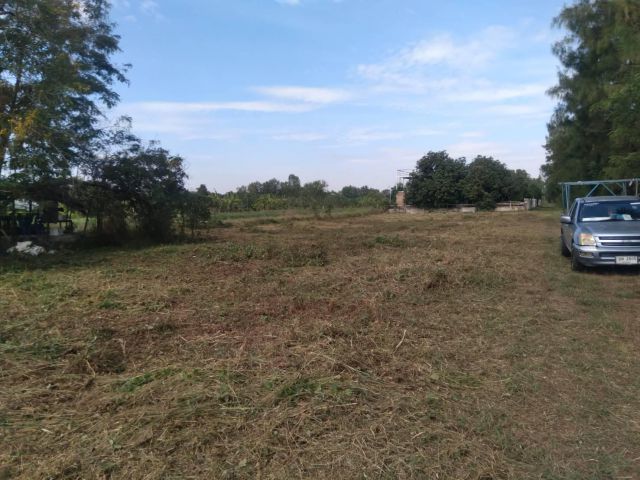 ขายที่ดิน 2 ไร่ ติดรีสอร์ท ติดถนนลูกรังกว้าง 8 เมตร เหมาะทำสวน ราคาไร่ละ 630,000บาท ยกแปลง 1,200,000บาท พร้อมโอน โทร 0851770809