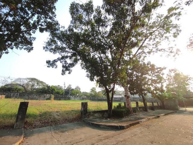 ขายที่ดินเปล่าถมแล้ว ม.ปัญญาอินทรา P.9 ขนาด 1-1-13 ไร่