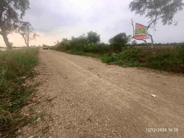 ขายถูกที่ดินคลองสี่ 200 ตรว ติดถนนสาธารณะ ใกล้วัดมงคลพุกการาม ซ.ขาวแดง อ.คลองหลวง จ.ปทุมธานี