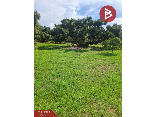 ขายที่ดิน เนื้อที่ 3 ไร่ เทิง เชียงราย