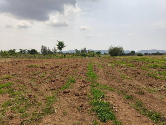 ขายที่ดินลพบุรีโฉนดพร้อมโอน 140,000บาท