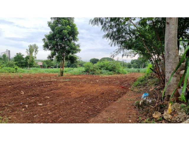 ขายที่ดินเปล่า ทำเลดี เดินทางสะดวก มีไฟเข้าถึง ต.ปากช่อง อ.ปากช่อง จ.นครราชสีมา