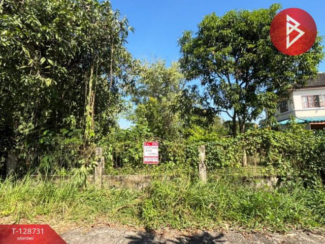 ขายที่ดิน ในหมู่บ้านทรัพย์ไพศาล เนื้อที่ 51 ตร.วา หนองจอก กรุงเทพมหานคร