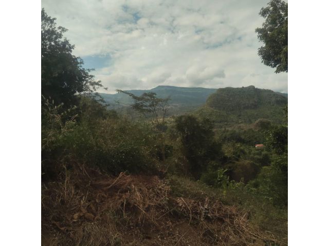 ด่วนที่สุด ขายที่ดินใกล้ทางขึ้นภูทับเบิก วิวสวยมาก จำนวน 24 ไร่