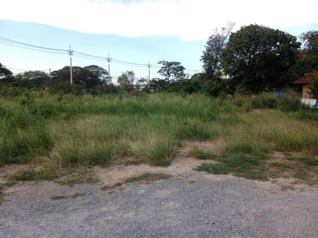 ขายที่ดิน198ตรว. ต.ทัพหลวงติดถนนมาลัยแมน