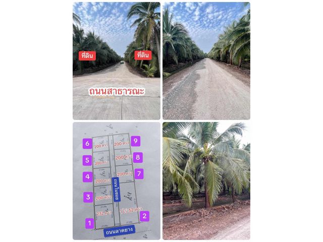 เปิดให้จองแล้ว ที่ดินขนาด200ตรว! ใกล้โรงพยาบาลบ้านแพ้วขึ้นชื่อเรื่องการรักษาที่ทันสมัย ใกล้ตลาดบ้านแพ้ว เพียง3.5 กม