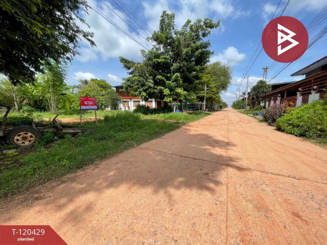 ขายที่ดิน เนื้อที่ 1 งาน 33.3 ตารางวา มัญจาคีรี ขอนแก่น ทำเลดี